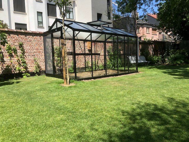 ACD R205 blackline 232x371 cm