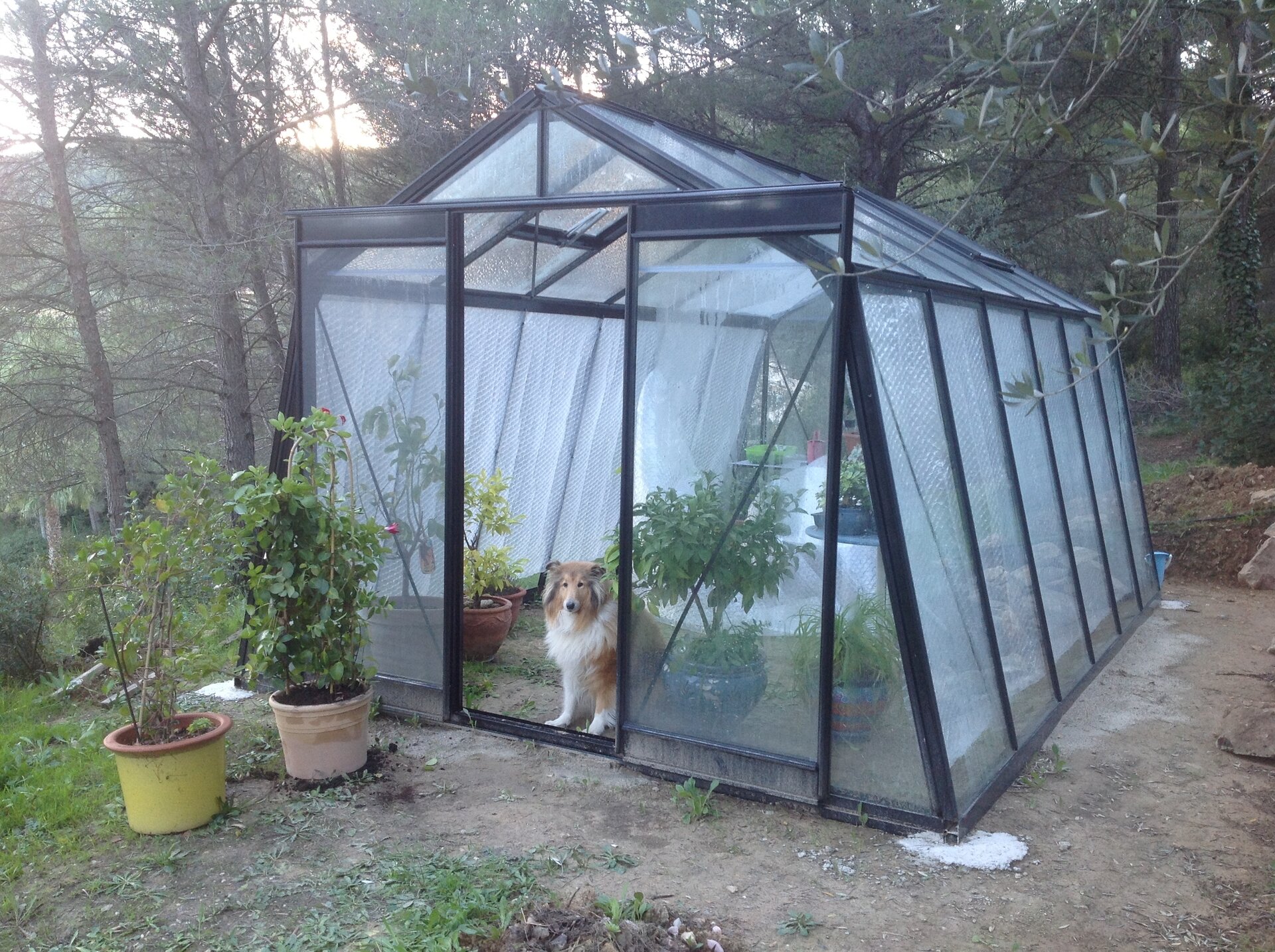 ACD Tuinkas Prestige S106H BL - Blackline 306x445cm