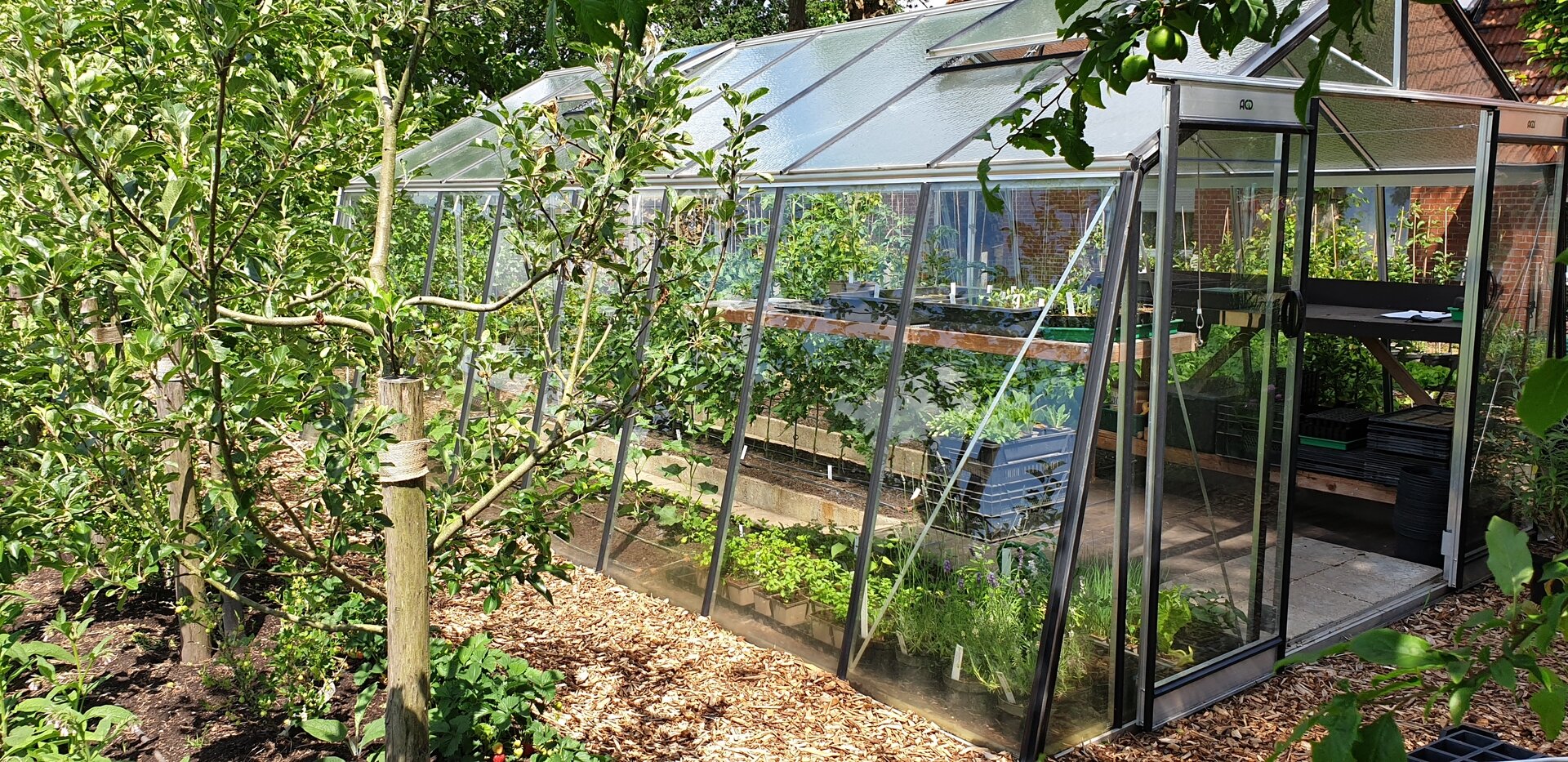 ACD Gartengew&auml;chshaus Prestige S208H ALU - Aluminium 380x593cm