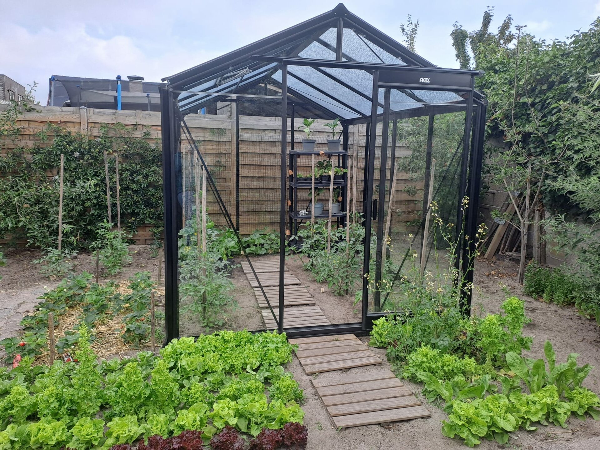 R204H Blackline 232 x 298 cm