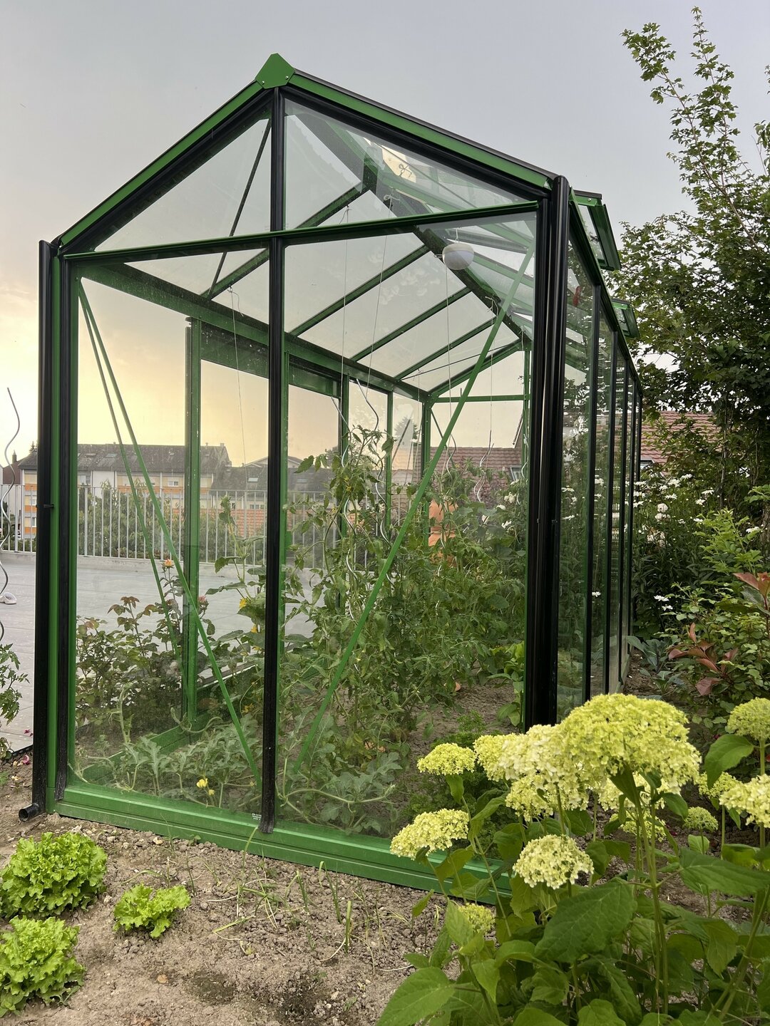ACD Piccolo P05 black aluminium 159 x 371 cm