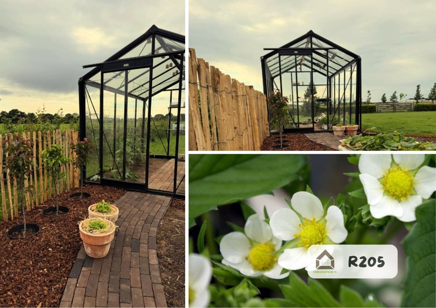 ACD R205 blackline 232x371 cm