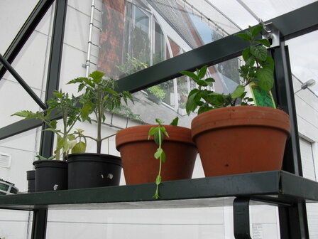 Set van twee schappen, blank aluminium
