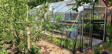 ACD Gartengew&auml;chshaus Prestige S208H ALU - Aluminium 380x593cm