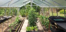 ACD Gartengew&auml;chshaus Prestige S208H ALU - Aluminium 380x593cm