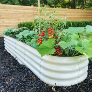 Moestuinbak