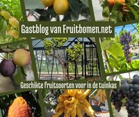 Geschikte fruitsoorten voor in de tuinkas