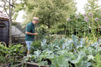 Met een gerust hart op vakantie: zo bereid je jouw tuinkas en moestuin voor